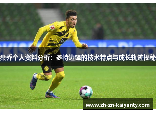 桑乔个人资料分析：多特边锋的技术特点与成长轨迹揭秘
