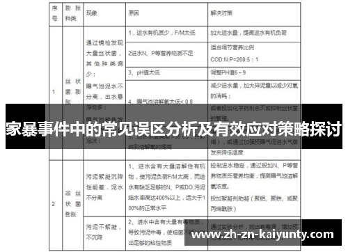 家暴事件中的常见误区分析及有效应对策略探讨
