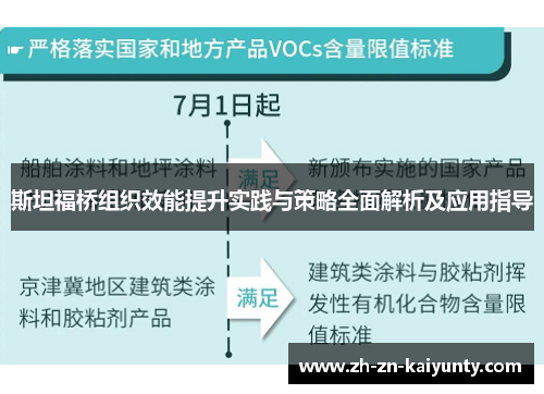 斯坦福桥组织效能提升实践与策略全面解析及应用指导