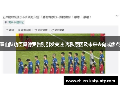 泰山队功臣桑德罗告别引发关注 离队原因及未来去向成焦点