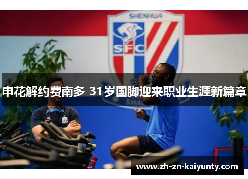 申花解约费南多 31岁国脚迎来职业生涯新篇章