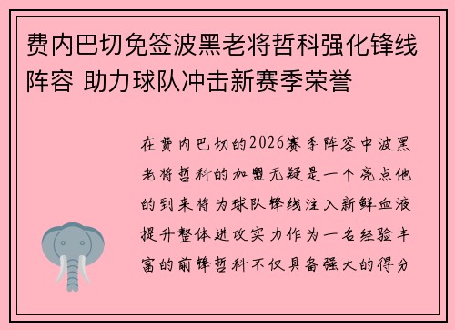 费内巴切免签波黑老将哲科强化锋线阵容 助力球队冲击新赛季荣誉
