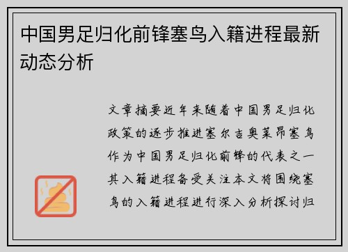 中国男足归化前锋塞鸟入籍进程最新动态分析